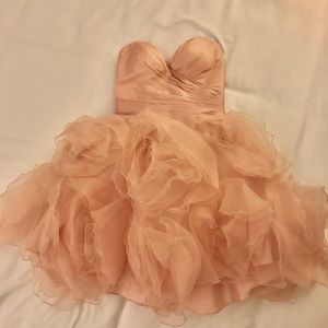 Blush Sean X Press Dress